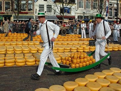 Houthandel Alkmaar en omgeving